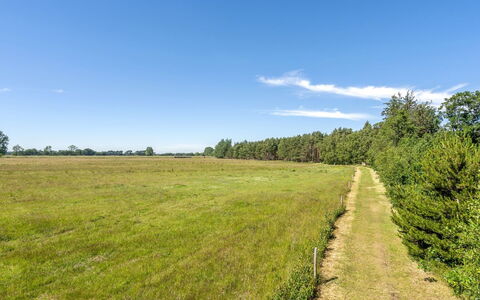 Taralyn - 1.3Km from the Sea: Residential Area, Home, Estate, Shade, Concrete, Driveway, Landscaping, Villa, Fence, Porch
