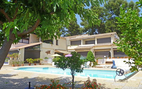 Saint Cyr sur Mer la Madrague 160: Building, Plant, Flower, Tree, Window, Shade, Vegetation, Urban Design, Sky, Leisure