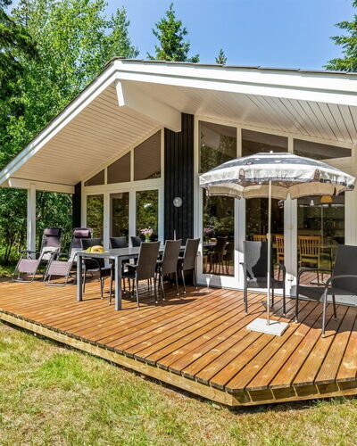Hertta - 200M from the Sea