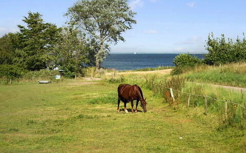 Ady - 150M from the Sea: Roof, House, Land Lot, Home, Cottage, Estate, Garden Buildings, Shade, Log Cabin, Landscaping