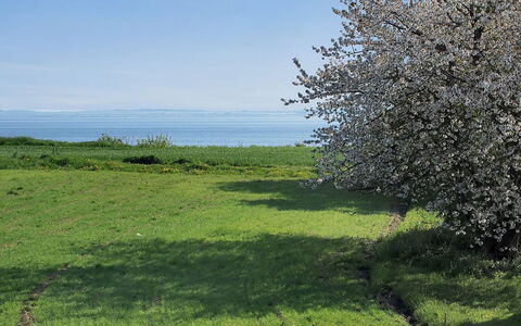Ady - 150M from the Sea: Roof, House, Land Lot, Home, Cottage, Estate, Garden Buildings, Shade, Log Cabin, Landscaping