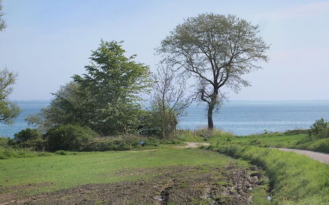 Ady - 150M from the Sea: Roof, House, Land Lot, Home, Cottage, Estate, Garden Buildings, Shade, Log Cabin, Landscaping