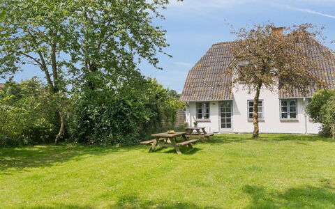 Ilja - 400M from the Sea: Grass, Grassland, Landscape, Ecoregion, Plain, Plant Community, Land Lot, Outdoor Furniture, Prairie, Shrubland