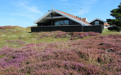 Lilja - 1.5Km from the Sea