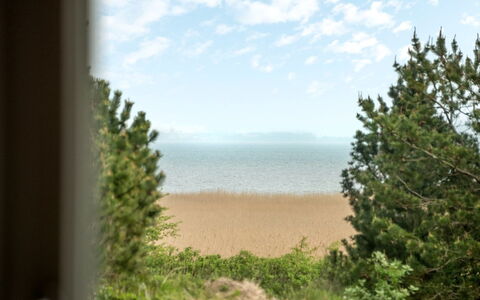 Solvey - 2Km from the Sea: Sea, Ocean, Morning, Coast, Beach, Shore, Tropics, Evergreen
