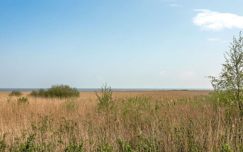 Solvey - 2Km from the Sea: Sky, Blue, Daytime, Natural Environment, Grass, Grassland, Vegetation, Ecoregion, Horizon, Plain
