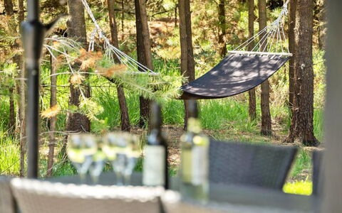 Jonas - 2.4Km from the Sea: Outdoor Furniture, Trunk, Forest, Spring, Shade, Woodland, Sunlight, Garden, Jungle
