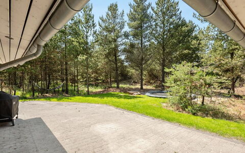 Jonas - 2.4Km from the Sea: Tree, Shade, Larch, Evergreen, Landscaping, Woodland, Driveway, Pine Family