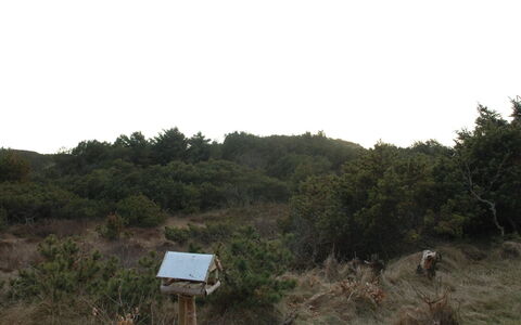 Annita - 300M from the Sea: Roof, House, Home, Cottage, Siding, Estate, Driveway, Garden Buildings, Yard, Shed