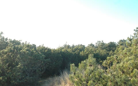 Jon - 400M from the Sea: Roof, Land Lot, Cottage, Home, Rural Area, Shed, Siding, Garden Buildings, Log Cabin, Hut