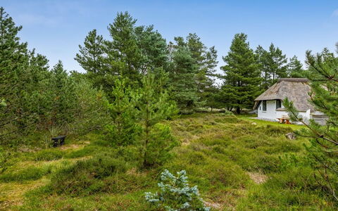Lilo - 1Km from the Sea: Cottage, Shed, Hut, Farmhouse, Prairie, Shack, Barn, Log Cabin, Garden Buildings