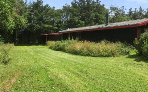 Stillfriede - 400M from the Sea: Grass, House, Roof, Home, Cottage, Shrub, Land Lot, Rural Area, Farmhouse, Groundcover