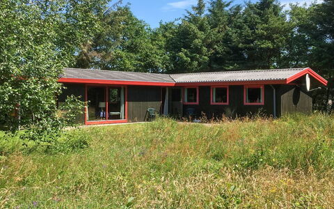 Stillfriede - 400M from the Sea: Grass, House, Roof, Home, Cottage, Shrub, Land Lot, Rural Area, Farmhouse, Groundcover