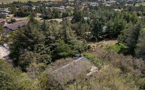 Estelle - 575M to the Fjord: Landscape, Aerial Photography, Bird'S-Eye View, Chaparral, Village, Shrubland, Evergreen, Pine Family