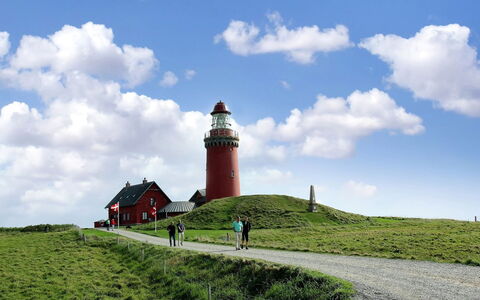 Ena - 75M from the Sea: Cottage, Garden, Siding, Garden Buildings, Shade, Yard, Backyard, Lawn, Farmhouse, Landscaping