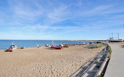Luzy - 600M from the Sea
