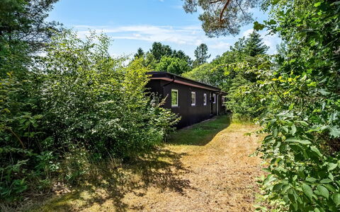 Fot - 7Km from the Sea: Vegetation, Shrub, Landscape, Plant Community, Land Lot, Rural Area, Garden, Cottage, Garden Buildings