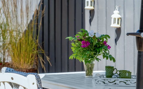 Felizia - 2.5Km from the Sea: Flowerpot, Houseplant, Garden, Floristry, Vase, Outdoor Furniture, Chair, Paint, Floral Design