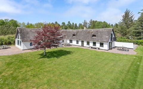 Iben - 2.3Km from the Sea: Plant Community, Sunlight, Herbaceous Plant, Garden, Plantation, Agriculture, Farm