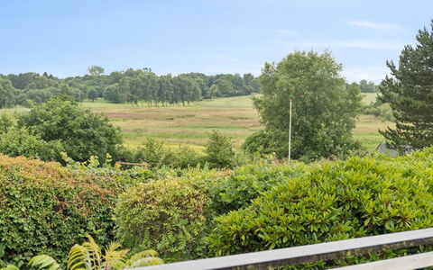 Ylermi - 1.5Km from the Sea: Sky, Green, Vegetation, Cloud, Shrub, Grassland, Plant Community, Plain, Cumulus, Plantation