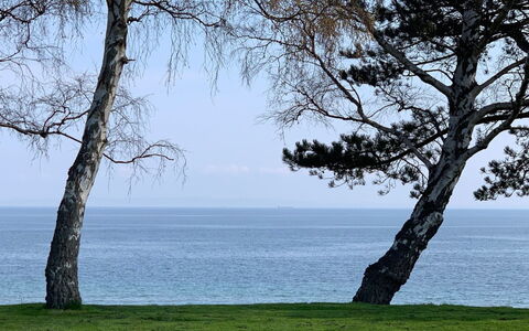 Vanta - 10M from the Sea: Roof, Land Lot, Cottage, Home, Rural Area, Shed, Siding, Garden Buildings, Log Cabin, Hut