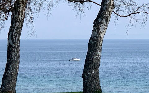 Vanta - 10M from the Sea: Roof, Land Lot, Cottage, Home, Rural Area, Shed, Siding, Garden Buildings, Log Cabin, Hut