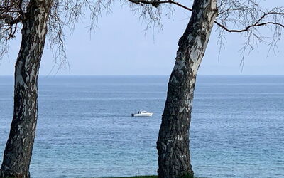 Vanta - 10M from the Sea