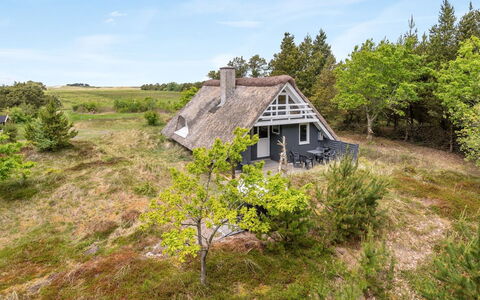 Antero - 4Km from the Sea: Grass, Grassland, Landscape, Ecoregion, Plain, Plant Community, Land Lot, Outdoor Furniture, Prairie, Shrubland
