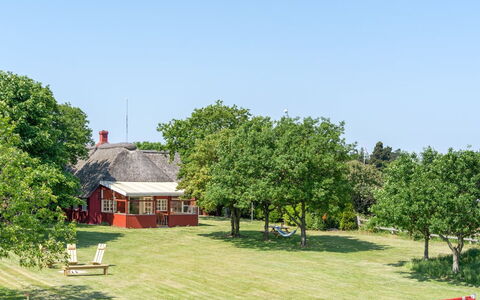 Edelgard - 4.5Km from the Sea: Tree, Grass, Plain, Landscape, Grassland, Rural Area, Land Lot, Lawn, Cottage