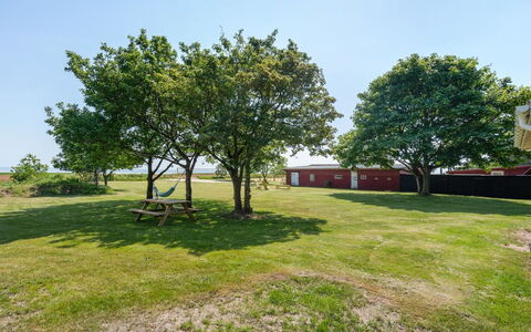 Edelgard - 4.5Km from the Sea: Sky, Tree, Grass, Plain, Land Lot, Lawn, Shade, Garden, Meadow, Park