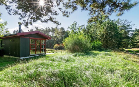 Eliane - 4Km from the Sea: Grass, Shrub, Grassland, Land Lot, Garden, Rural Area, Plant Community, Meadow, Cottage