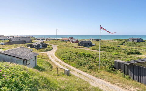 Heidine - 176M from the Sea: Plant Community, Sunlight, Herbaceous Plant, Garden, Plantation, Agriculture, Farm