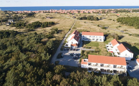 Thorgrim - 800M from the Sea: Plant Community, Sunlight, Herbaceous Plant, Garden, Plantation, Agriculture, Farm