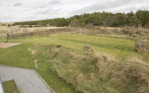 Thorgrim - 800M from the Sea: Plant Community, Sunlight, Herbaceous Plant, Garden, Plantation, Agriculture, Farm