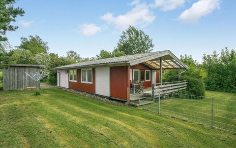 Thorwer - 250M from the Sea: Plant Community, Sunlight, Herbaceous Plant, Garden, Plantation, Agriculture, Farm
