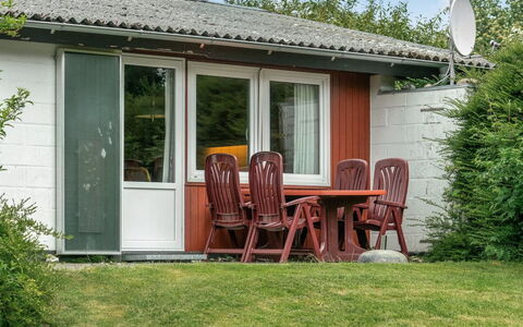 Thorwer - 250M from the Sea: Plant Community, Sunlight, Herbaceous Plant, Garden, Plantation, Agriculture, Farm