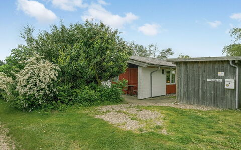 Thorwer - 250M from the Sea: Plant Community, Sunlight, Herbaceous Plant, Garden, Plantation, Agriculture, Farm