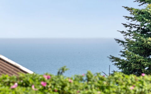 Jarmericus - 300M from the Sea: Sky, Blue, Green, Horizon, Sea, Ocean, Coast, Tropics, Evergreen