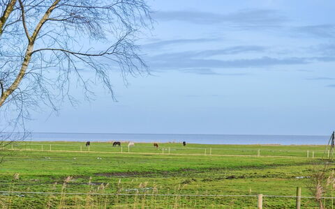 Asfrid - 3.5Km from the Sea: Blue, Grass, Green, Grassland, Natural Landscape, Plain, Pasture, Summer, Ecoregion, Field