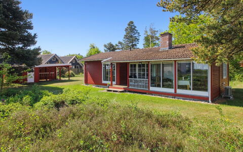 Asfrid - 3.5Km from the Sea: Plant Community, Sunlight, Herbaceous Plant, Garden, Plantation, Agriculture, Farm