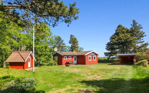 Asfrid - 3.5Km from the Sea: Plant Community, Sunlight, Herbaceous Plant, Garden, Plantation, Agriculture, Farm