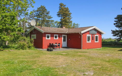 Asfrid - 3.5Km from the Sea: Plant Community, Sunlight, Herbaceous Plant, Garden, Plantation, Agriculture, Farm