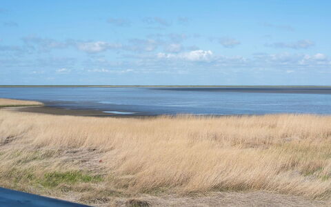 Deljan - 3.5Km from the Sea: Shrub, Urban Design, Groundcover, Brick, Apartment, Estate, Brickwork, Balcony, Landscaping