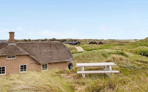 Stenkwith - from the Sea: Plant Community, Sunlight, Herbaceous Plant, Garden, Plantation, Agriculture, Farm