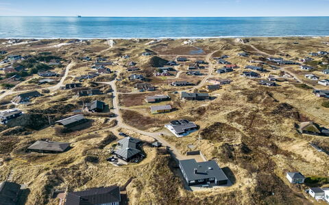 Carstina - 400M from the Sea: Plant Community, Sunlight, Herbaceous Plant, Garden, Plantation, Agriculture, Farm