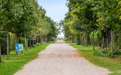 Rohan - 500M from the Sea: Green, Leaf, Nature, Branch, Vegetation, Shrub, Garden, Spring, Thoroughfare, Trunk