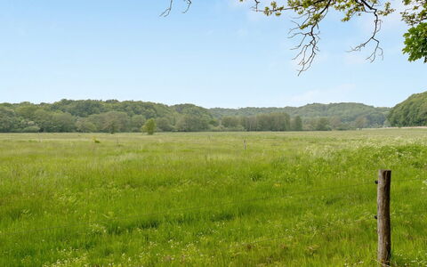 Rohan - 500M from the Sea: Green, Grass, Grassland, Tree, Natural Environment, Natural Landscape, Vegetation, Pasture, Plain, Field