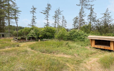Jorek - 1.3Km from the Sea: Grass, Natural Environment, Plant Community, Grassland, Land Lot, Ecoregion, Rural Area, Forest