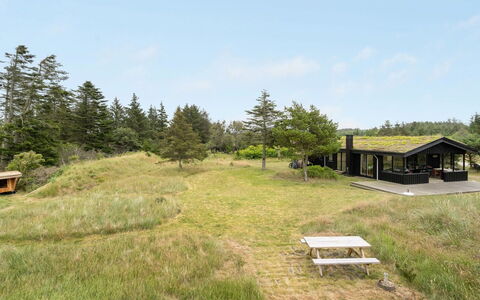 Jorek - 1.3Km from the Sea: Grass, Grassland, Shrub, Land Lot, Ecoregion, Rural Area, Plant Community, Plain, Groundcover