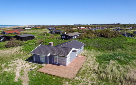 Gilbert - 96M from the Sea: Plant Community, Sunlight, Herbaceous Plant, Garden, Plantation, Agriculture, Farm